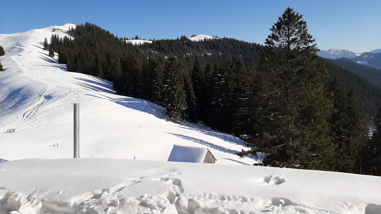 Kultur, Berge, Seen, Moor - Das Lebensglueck Murnau am Staffelsee Extérieur photo